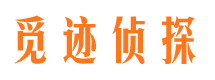 昭阳市私家侦探